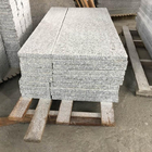 Resistenza dell'alcali della lastra delle mattonelle della pietra del granito lucidata G603 per il controsoffitto