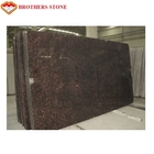 Il granito Ston dell'India Tan Brown della natura lucidato pozzo piastrella la dimensione standard o su misura