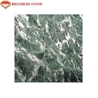 Pietra professionale della lastra del marmo di Verde Issogne, piastrella per pavimento di marmo interna