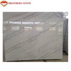 Lastre di pietra di marmo bianche pure, piastrelle per pavimento di marmo bianche pure resistenti all'uso
