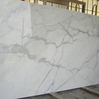 Pietra di marmo bianca ad alto livello dell'Italia, grandi controsoffitti di marmo della lastra