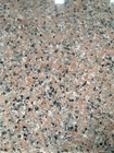 Mattonelle del granito di rosa del granito 60x60 della decorazione interna G635 per la parete e la pavimentazione