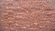 Lastra ruvida 2,73 g/cm3 delle piastrelle per pavimento 50x50 del controsoffitto della cucina del granito di colore rosso