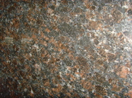 145 Mpa Tan Brown Granite Stone Tiles per i ripiani di punti