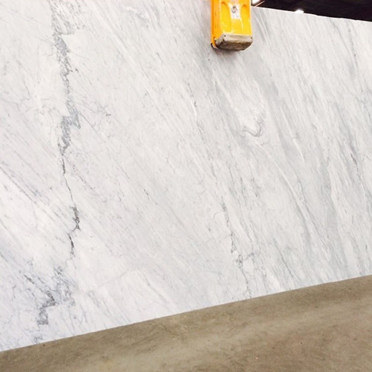 Pietra di marmo bianca ad alto livello dell'Italia, grandi controsoffitti di marmo della lastra