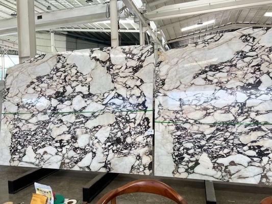Calacatta Viola Piastrelle di marmo Pietra italiana per progetti di cucina e bagno