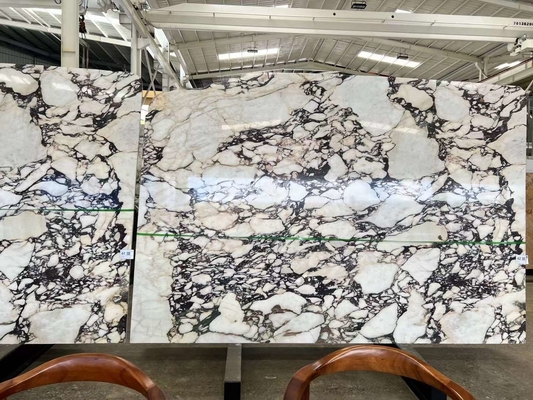 Calacatta Viola Piastrelle di marmo Pietra italiana per progetti di cucina e bagno