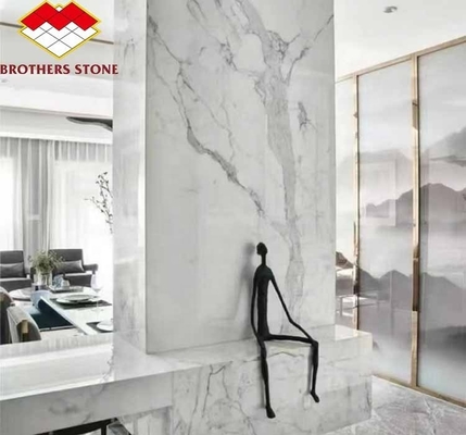 Decorazione domestica Ventre di pesce moderno Lastre di pietra di marmo bianco per soggiorno e piastrelle da pavimento