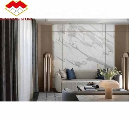 Decorazione domestica Ventre di pesce moderno Lastre di pietra di marmo bianco per soggiorno e piastrelle da pavimento