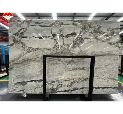 Brasile Calacatta Grigio Marmo Pesce Ventre Grigio Marmo per Hotel Anti Slip Scale Design