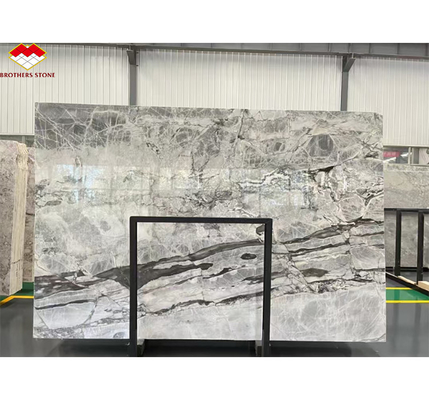 Brasile Calacatta Grigio Marmo Pesce Ventre Grigio Marmo per Hotel Anti Slip Scale Design