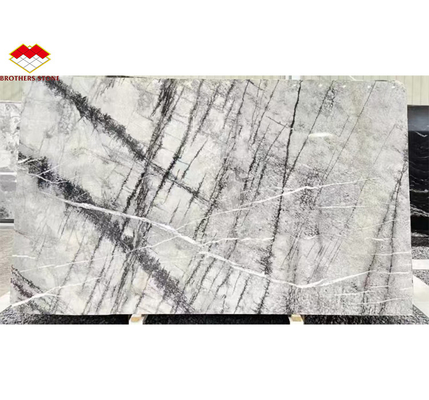 Progettazione grafica Pietra naturale Italiana Acero argento Piastrelle di marmo per il soggiorno