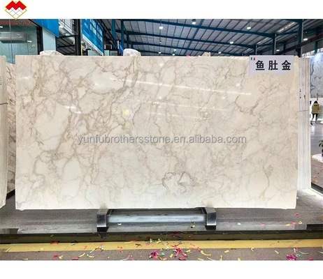 Commercio FOB Modern Calacatta Gold Marble Slab dall'Italia per pavimenti a parete