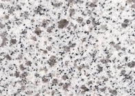 Granito bianco G603 della camelia popolare naturale per la piastrella per pavimento e le scale