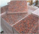 Il CE rosso delle mattonelle del granito la lastra/G562 della pietra del granito della foglia di acero ha approvato